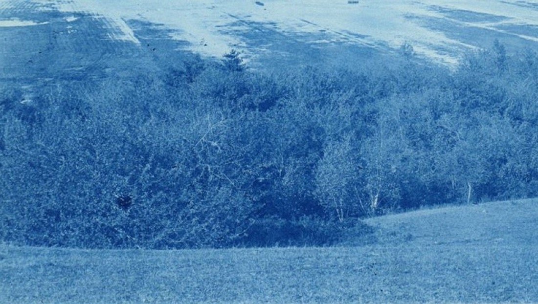 Faixa de mata entre o pasto e os campos cultivados, em cianótipo azul