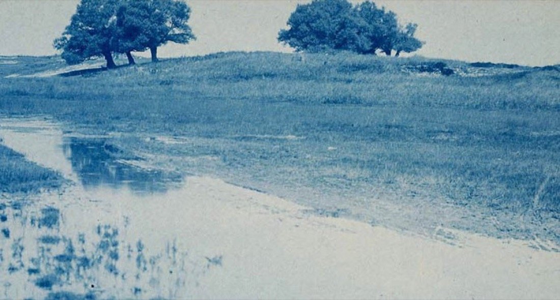 Árvores na crista de uma colina em cianótipo azul, com água ao pé do campo